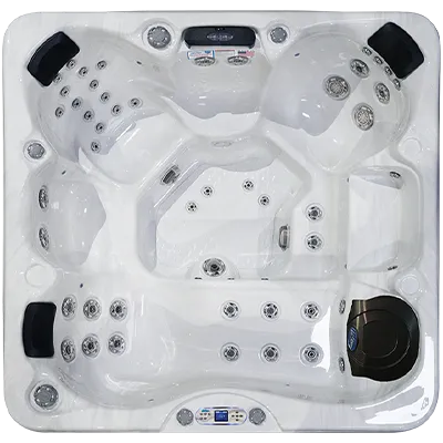 Avalon EC-849L hot tubs for sale in New Haven