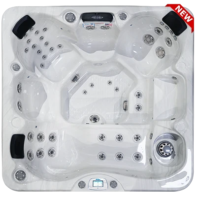 Avalon-X EC-849LX hot tubs for sale in New Haven